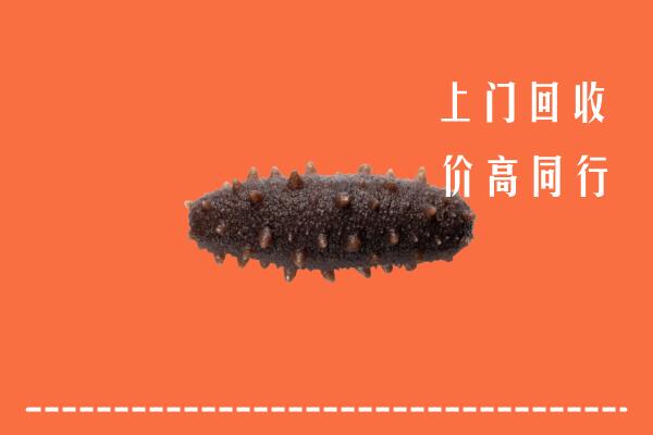 高价求购：宁波回收海参